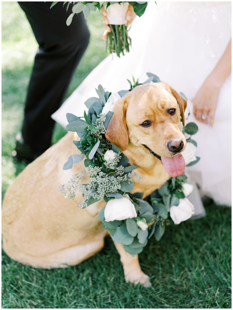 dog floral wreath, wedding, ashley's florals 