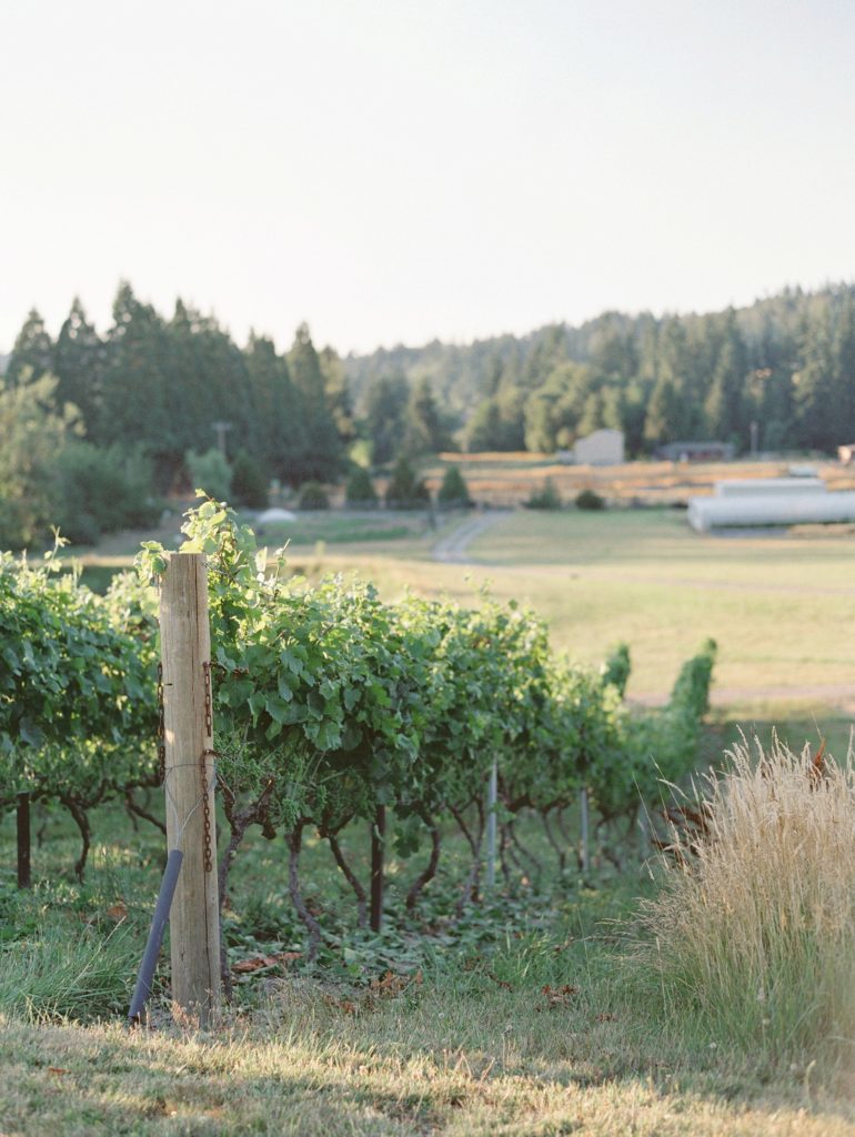 Oregon Winery Wedding